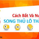 Hướng dẫn cách bắt và nuôi song thủ lô Miền Bắc lãi cao nhất