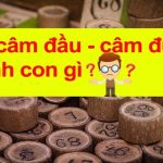 lô câm đầu đuôi đánh con gì