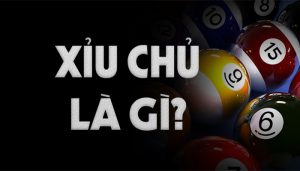 Khái niệm xỉu chủ là gì